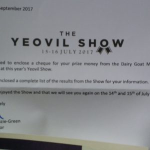 Yeovil Show