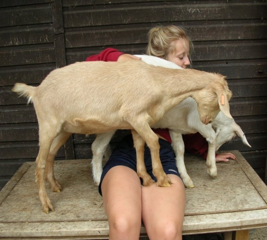 Ailsa finds Pascha and Lupin don’t fit on her lap as easily as they used to (2)