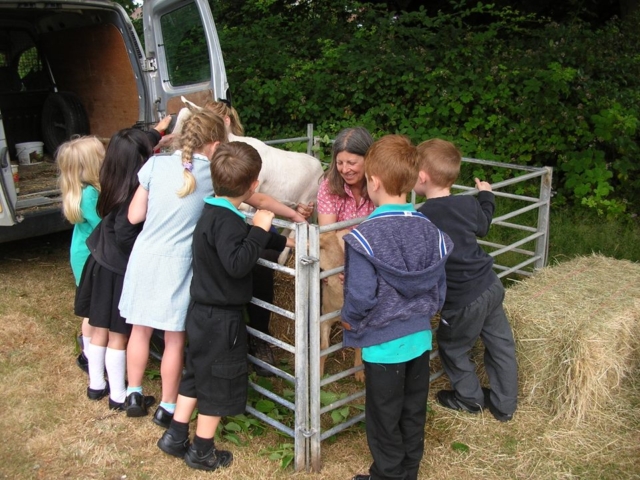 Back in July 2015, Ailsa and I took Lupin and Pascha to Hillbourne school in Poole to support the "Heidi " project that the children were working on.