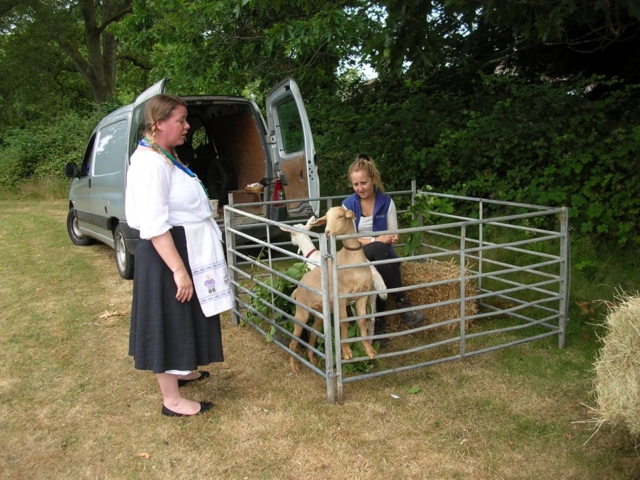 Back in July 2015, Ailsa and I took Lupin and Pascha to Hillbourne school in Poole to support the "Heidi " project that the children were working on.