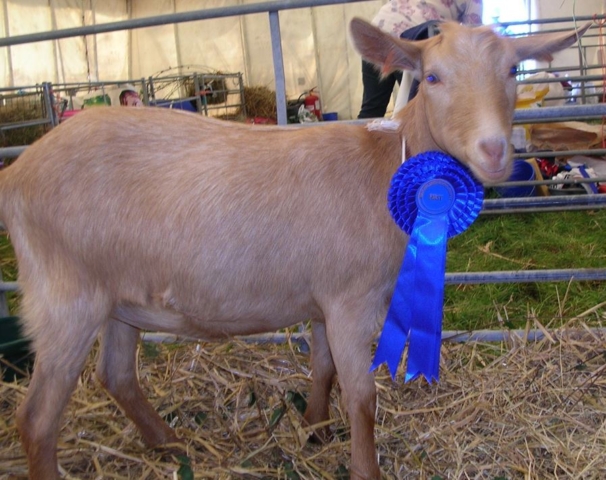 Miri got a rosette AND £10!!
