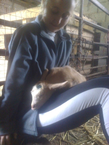 Pierah will snooze just about anywhere!