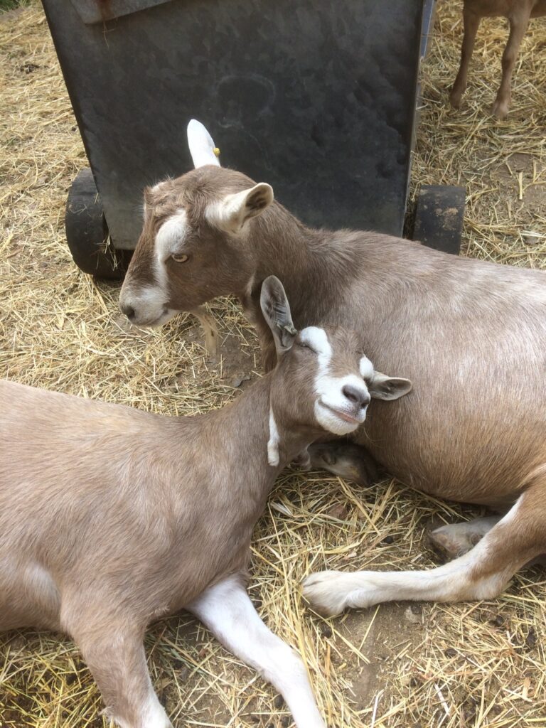 Kiki with her daughter Laillie