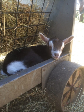 Kids find all sorts of places to sleep!